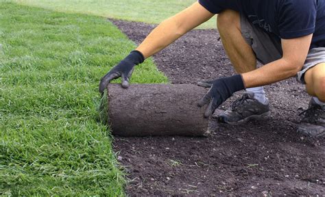 Laying down grass sod to start or repair a lawn isn't the hardest yard task, but it is here's how to lay sod, in six steps. DIY Guide: How To Lay Sod And Create A Fabulous Lawn
