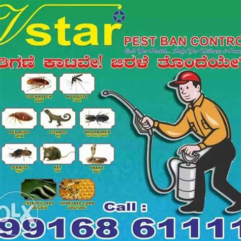 V Star Pest Ban Control Bangalore