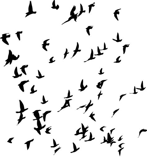 Flock Of Birds Silhouette Png