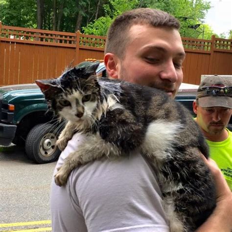 Firefighters Rescue Cat Stuck In A Terrible Spot 6 Pics