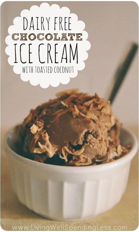 Dairy Free Chocolate Ice Cream With Toasted Coconut Living Well Spending Less Recipe