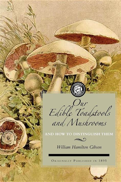 Our Edible Toadstools And Mushrooms A Selection Of Thirty