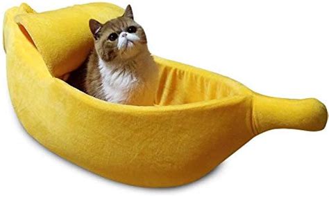 Banana Cat Blank Template Imgflip
