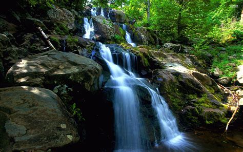 Forest Waterfall Wallpaper 56 Pictures