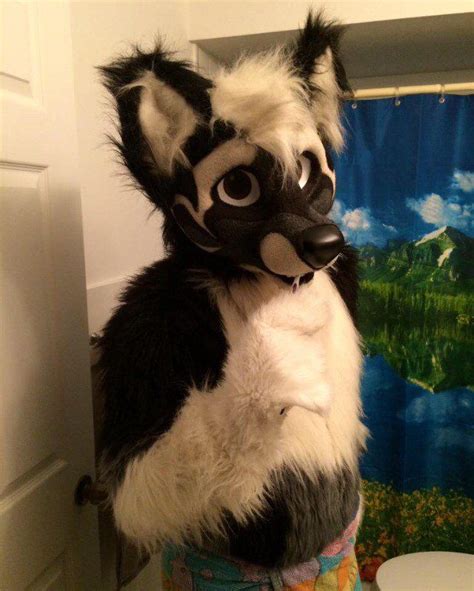Fursuitpursuits Rt Wolfangcerberus Ya Know What I Do Almost Every