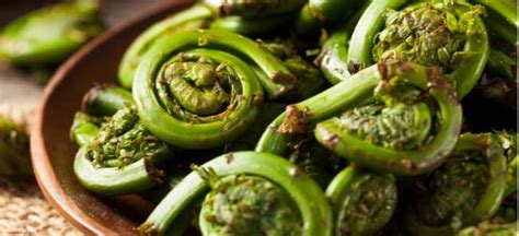 What Are Fiddleheads How To Use These Edible Fern Shoots
