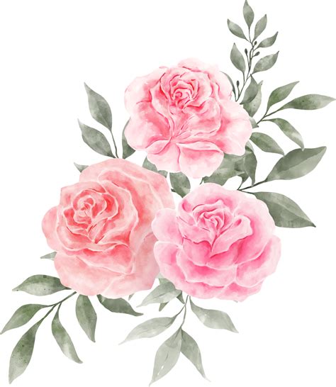 Pink Rose Flower Bouquet Arrangement Watercolor Png