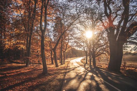 Autumn Sun By Lindqvist On Deviantart