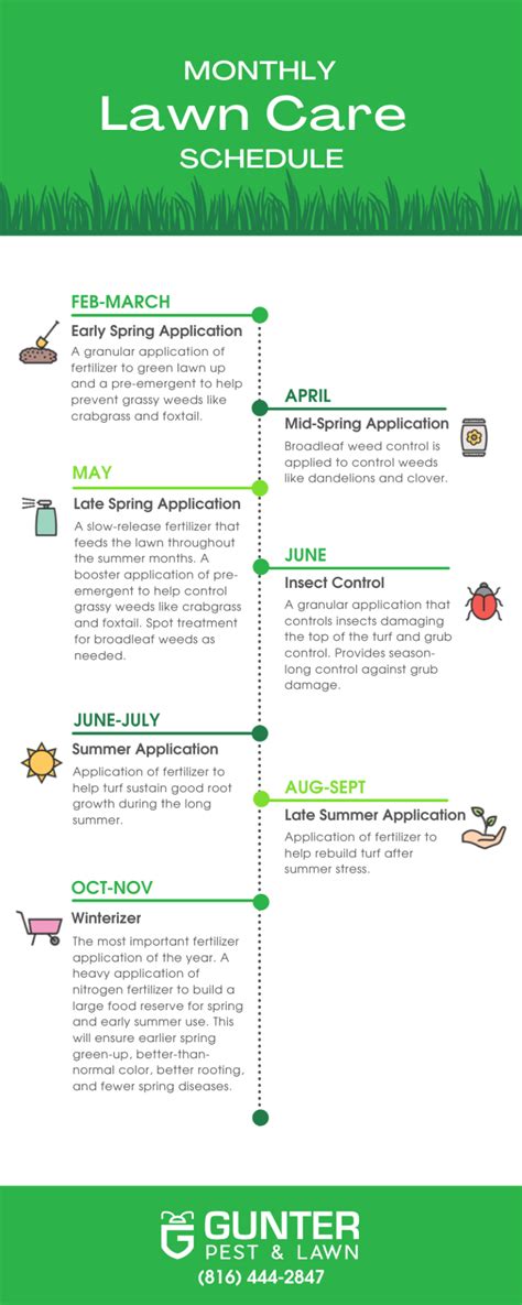 Seasonal Lawn Care Schedule For A Greener Yard Gunter Pest And Lawn