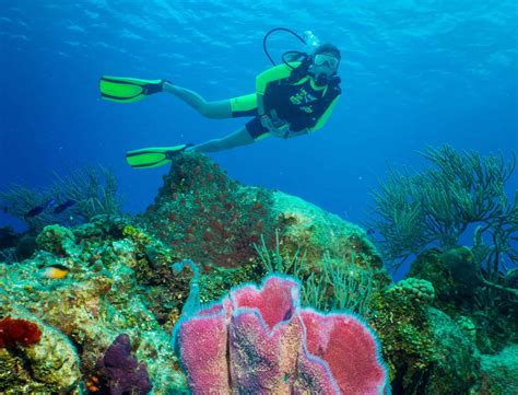 Cozumel Scuba Diving Excursions Memugaa