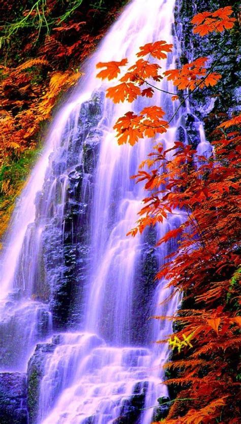 Beautifulthings Waterfall Leaves Autumn Fall Waterfall