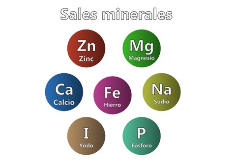¿qué Son Las Sales Minerales Beneficios Y Funciones En El Organismo