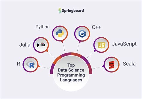 6 Top Data Science Programming Languages To Learn In 2021 | Springboard