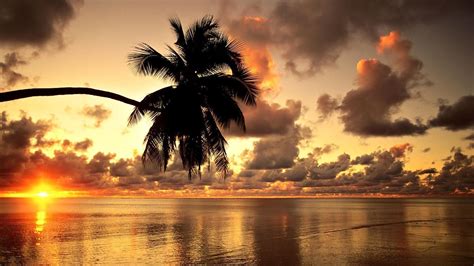 Beach Sunset Hd Wallpapers Top Những Hình Ảnh Đẹp