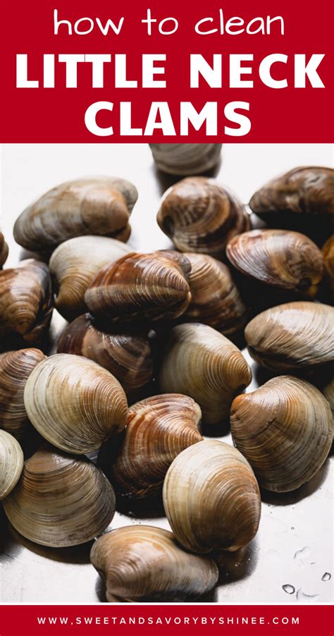 How To Clean Little Neck Clams Recipe Little Neck Clams How To Clean Clams Clams
