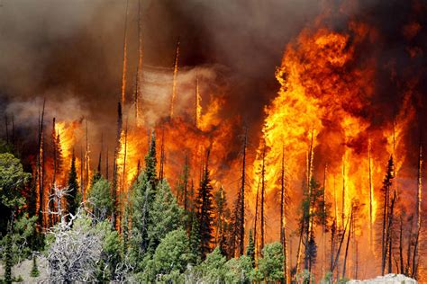 Host roger mooking meets two people who love to play with fire in new england. Utah man charged with starting Brian Head fire | Las Vegas ...
