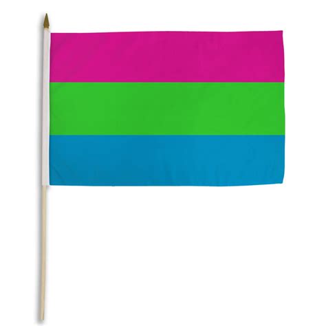 Polysexual Pride 12 X 18 Flag On A Stick
