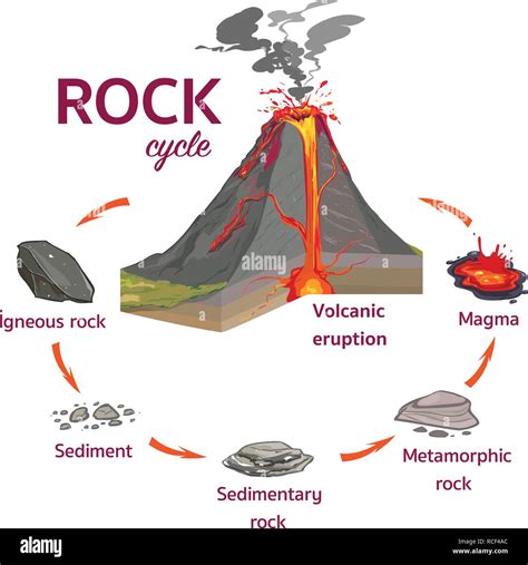 El ciclo de la roca İllustration vectorial Imagen Vector de stock Alamy