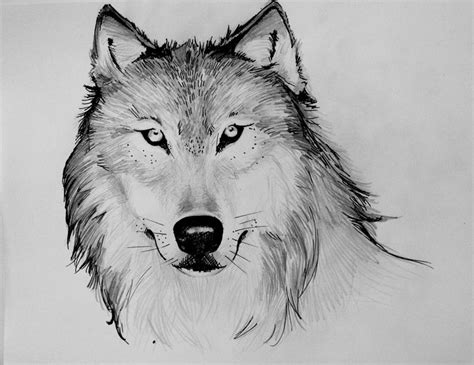 17 Best Images About Wolfs On Pinterest Wolf Photos A Wolf And Wolves