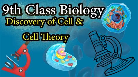 Discovery Of Cell And Cell Theory Structural Organization Of Life 9th