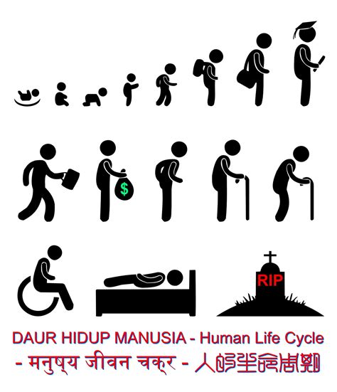 Proses Hidup Manusia - Riset