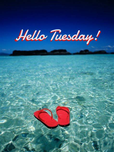 Happy Tuesday Coastal Lovers ~ Good Morning Sunshine Quotes Good