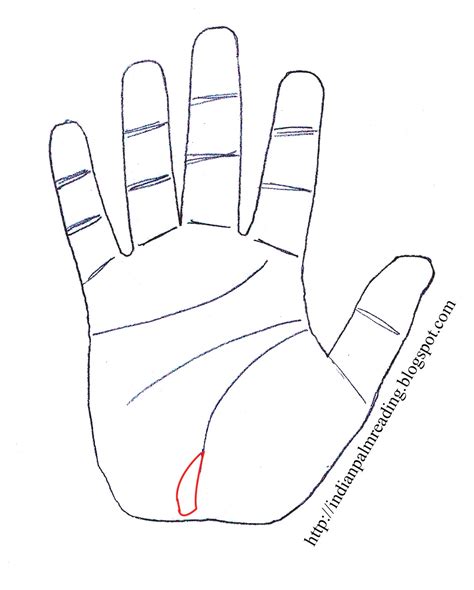 Open Hand Palm Tutorial Drawings Drawing Reference How To Draw Hands Images