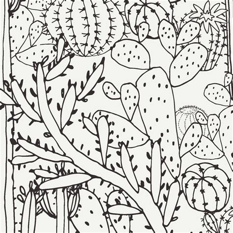 Cactus Wallpaper Botanical Black And White Southwestern Boho Etsy