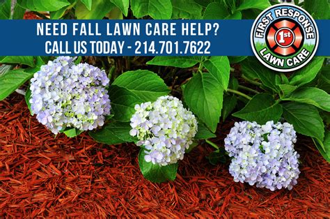 Fall Lawn Tips For North Texas Millikens Irrigation And Lawn