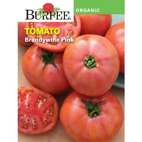 Burpee Organic Brandywine Pink Tomato Vegetable Seed 1 Pack Walmart
