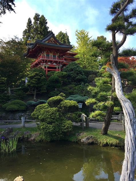It was an immigrant from japan named makoto hagiwara who was responsible for creating a truly authentic japanese tea garden in golden gate park. Japanese Tea Garden in Golden Gate Park, San Francisco