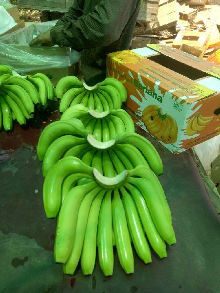 Fresh Bananas At Rs 300 Box In Burhanpur Donalex International