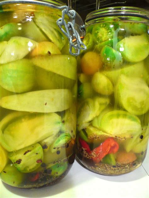 The Kittalog Pickled Green Tomatoes