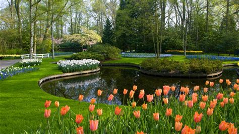 Keukenhof Lisse Netherland Garden Hd Garden Wallpapers Hd Wallpapers