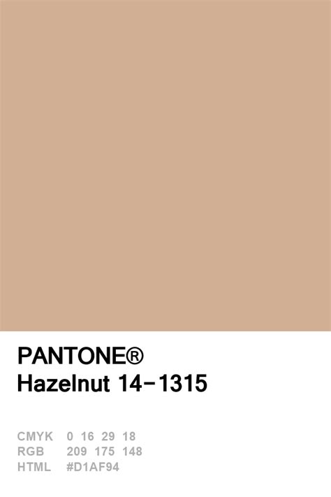 Pantone Hazelnut Paleta Pantone Pantone Palette Pantone