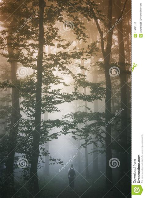 Man Walking In Foggy Forest At Sunset Stock Image Image Of Banner