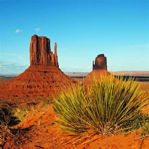 48 Arizona Desert Scenes Wallpaper On Wallpapersafari