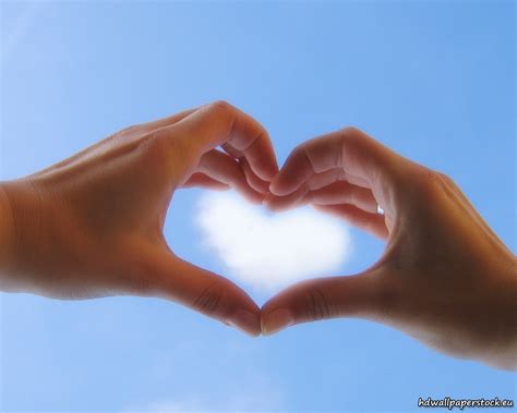 Heart Shaped Hands Wallpaper Wallpapers Wallpaper Free 3979