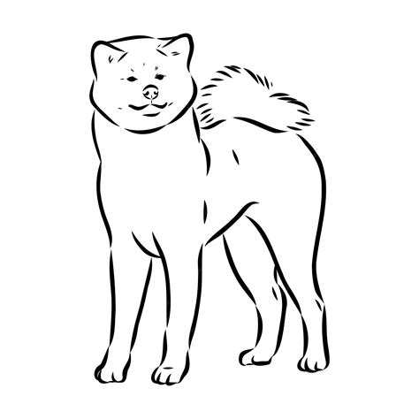 Premium Vector Akita Dog Face Isolated Vector Illustration Akita Inu