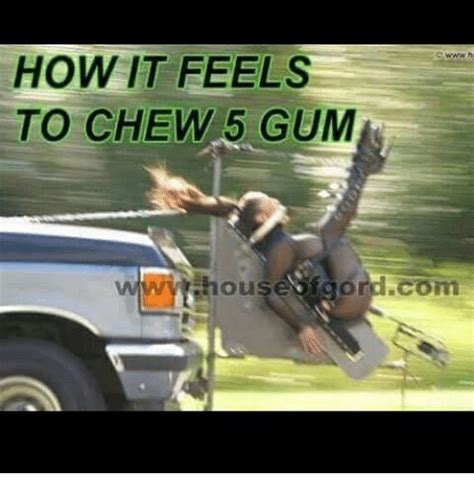 How It Feels To Chew 5 Gum Wyt Hous Gordcom Meme On Meme