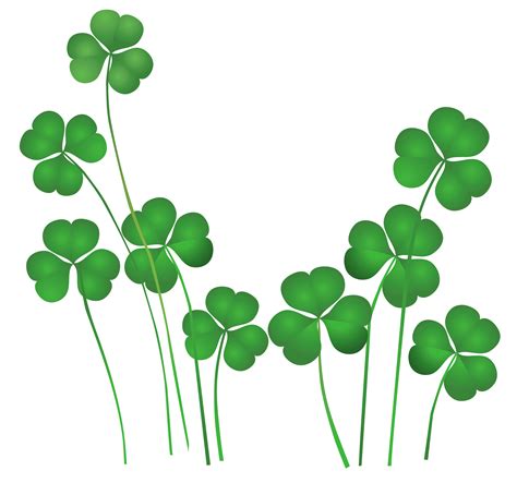 Image St Patrick Shamrock Clipart St Patricks Day Pictures Cliparts