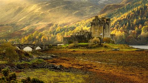 Hd Wallpaper Gray Castle Surrounded With Trees Autumn Nature
