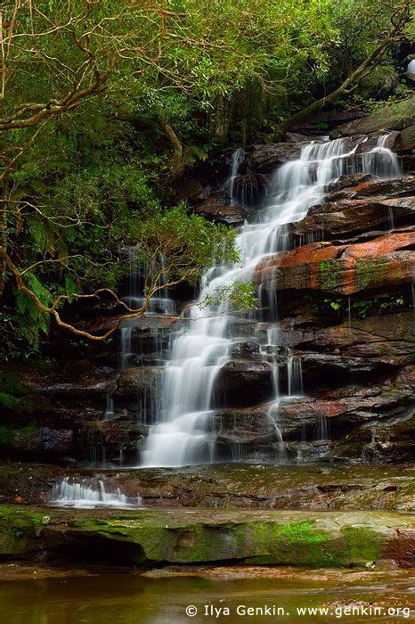 Upper Somersby Falls Brisbane Water National Park Central Coast Nsw