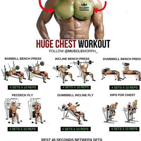 Pectorals Ultimate Chest Workout Chest Workouts Fitness Training Plan