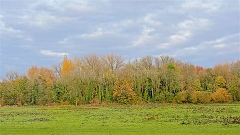 Meadow And Autumn Forest In Bourgoyen Nature Reserve Stock Photo