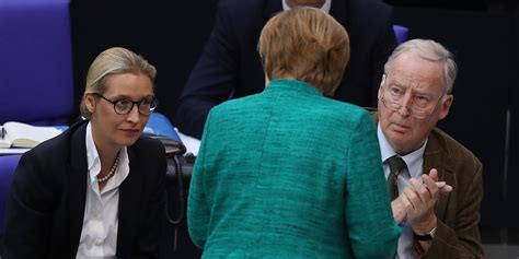 Studie Zeigt Wie Es Mit Der Afd Nach Merkels Ende Weitergehen Könnte