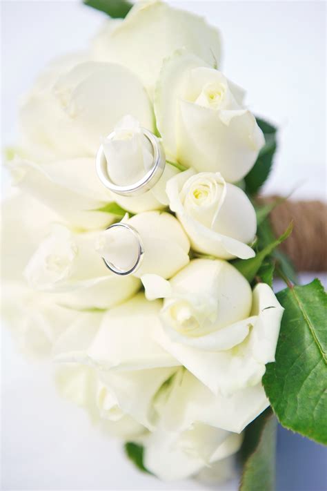 Ivory Rose Bouquet And Our Rings Ivory Rose Bouquet Wedding