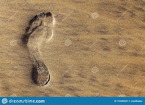 Single Human Barefoot Footprint Of Left Foot In Brown Yellow Sand Beach