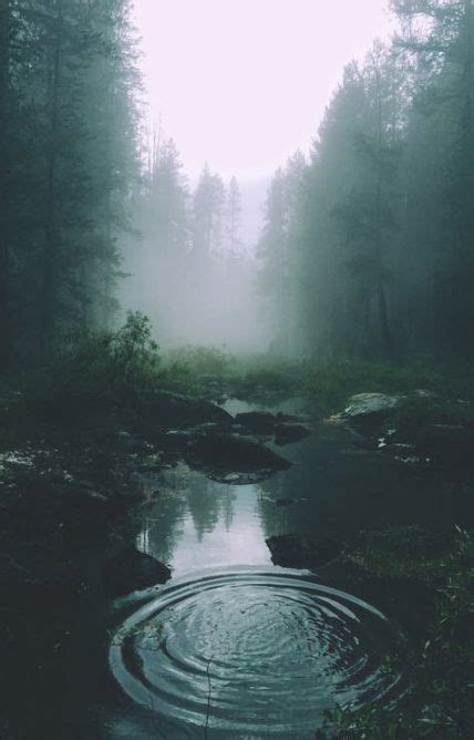 Fog Aesthetic On Tumblr