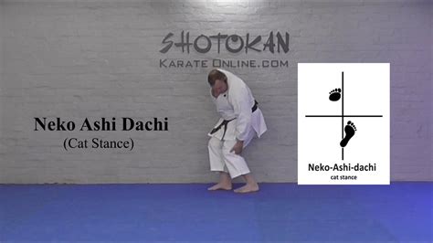 Neko Ashi Dachi Shotokan Karate Stances Youtube